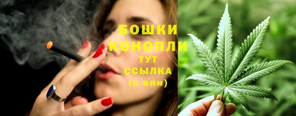 тгк Володарск
