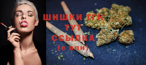 тгк Володарск